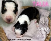 Talia 1st week